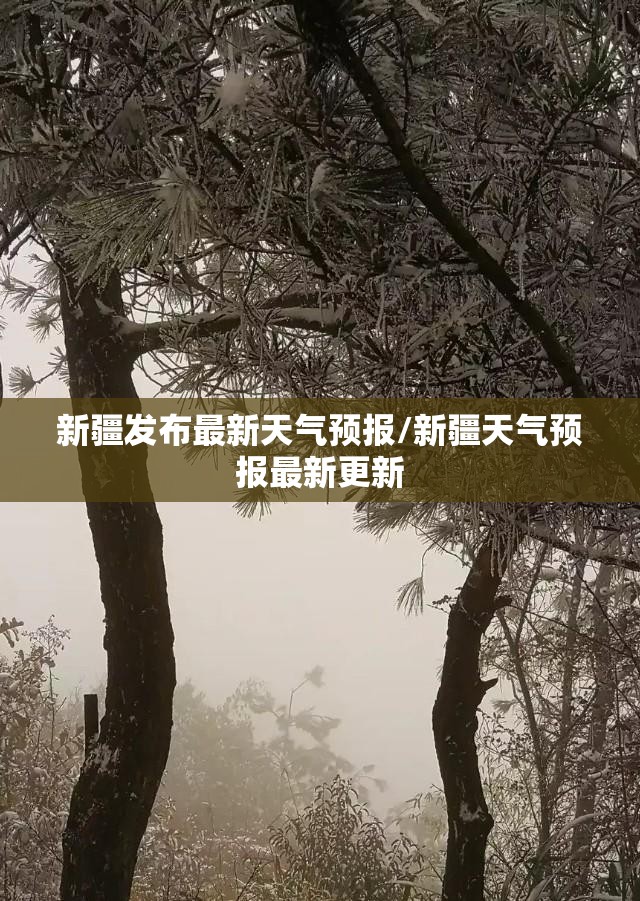 新疆发布最新天气预报/新疆天气预报最新更新 新疆发布最新天气预报/新疆天气预报最新更新