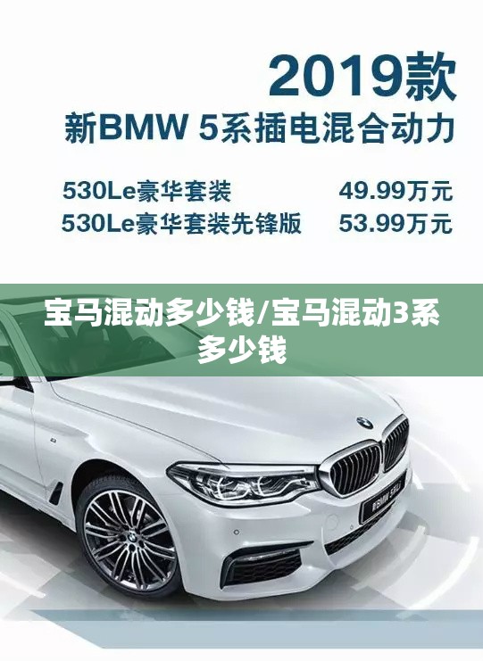 宝马混动多少钱/宝马混动3系多少钱