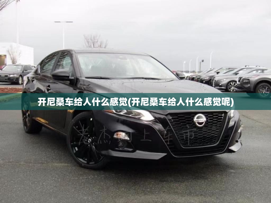 开尼桑车给人什么感觉(开尼桑车给人什么感觉呢) 开尼桑车给人什么感觉(开尼桑车给人什么感觉呢)