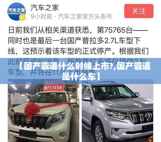 【国产霸道什么时候上市?,国产霸道是什么车】