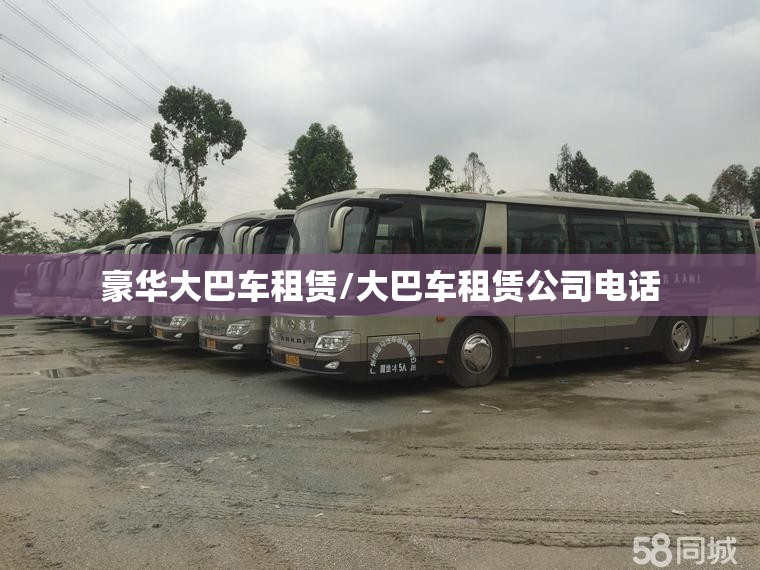 豪华大巴车租赁/大巴车租赁公司电话