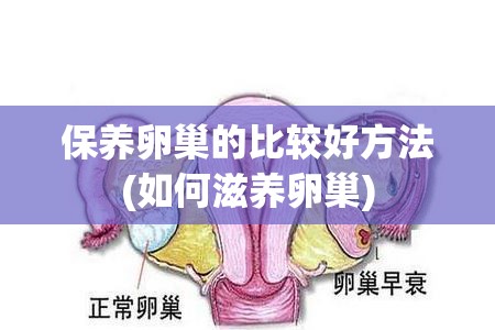 保养卵巢的比较好方法(如何滋养卵巢) 保养卵巢的比较好方法(如何滋养卵巢)