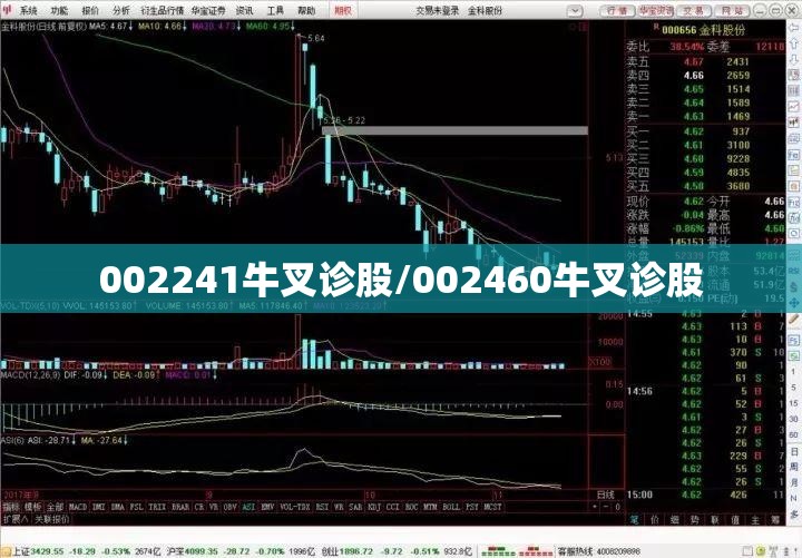 002241牛叉诊股/002460牛叉诊股