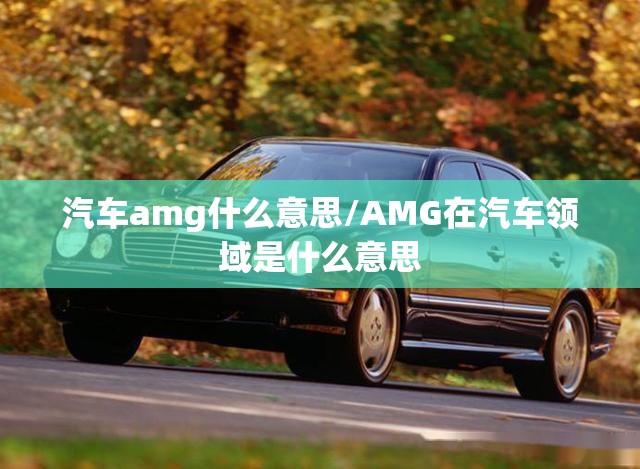 汽车amg什么意思/AMG在汽车领域是什么意思