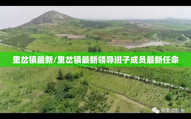 里岔镇最新/里岔镇最新领导班子成员最新任命