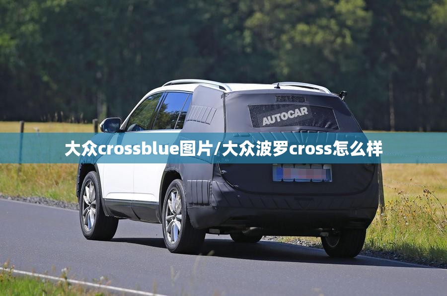 大众crossblue图片/大众波罗cross怎么样