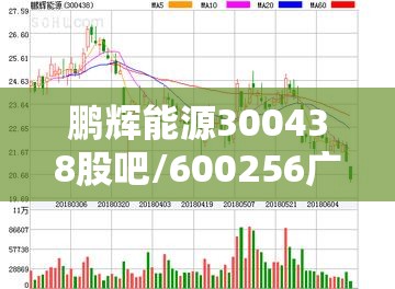 鹏辉能源300438股吧/600256广汇能源股吧