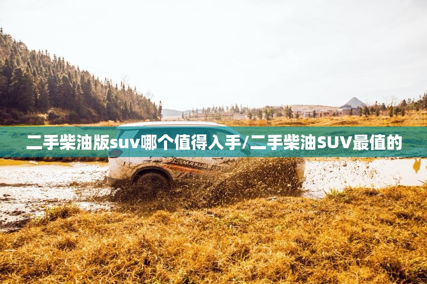二手柴油版suv哪个值得入手/二手柴油SUV最值的 二手柴油版suv哪个值得入手/二手柴油SUV最值的