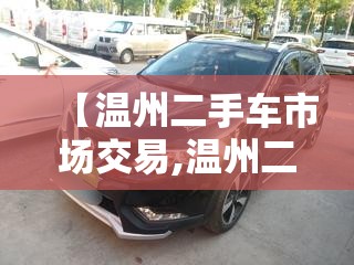 【温州二手车市场交易,温州二手车交易市场哪里比较好】