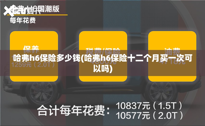 哈弗h6保险多少钱(哈弗h6保险十二个月买一次可以吗) 哈弗h6保险多少钱(哈弗h6保险十二个月买一次可以吗)