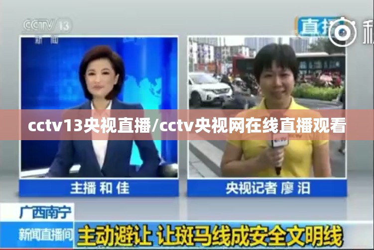 cctv13央视直播/cctv央视网在线直播观看 cctv13央视直播/cctv央视网在线直播观看