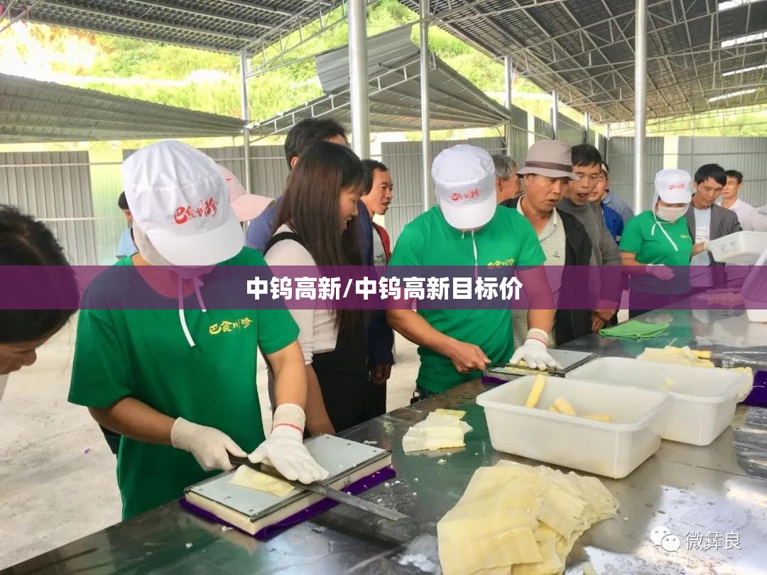 中钨高新/中钨高新目标价 中钨高新/中钨高新目标价