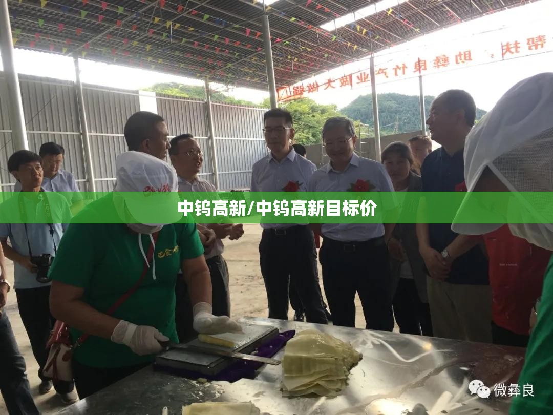 中钨高新/中钨高新目标价 中钨高新/中钨高新目标价