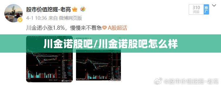 川金诺股吧/川金诺股吧怎么样 川金诺股吧/川金诺股吧怎么样