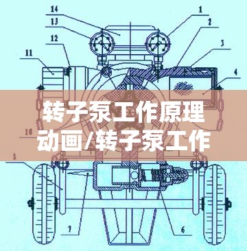 转子泵工作原理动画/转子泵工作原理动画演示 转子泵工作原理动画/转子泵工作原理动画演示