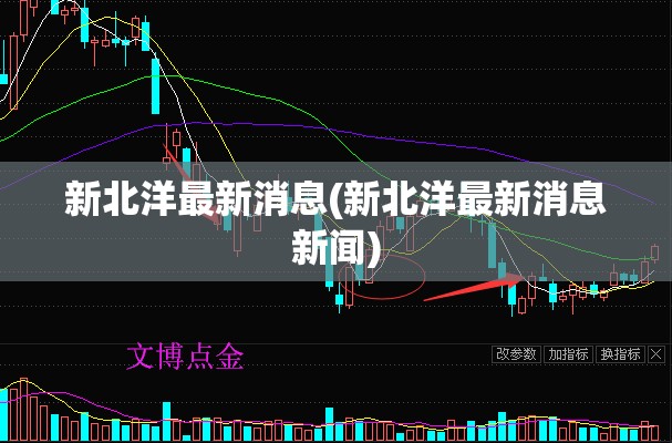 新北洋最新消息(新北洋最新消息新闻) 新北洋最新消息(新北洋最新消息新闻)
