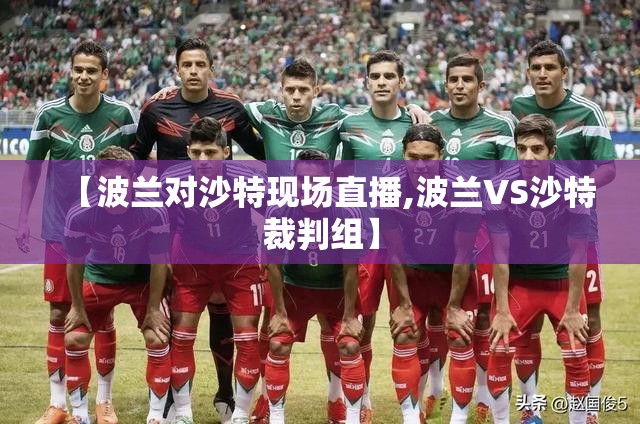 【波兰对沙特现场直播,波兰VS沙特裁判组】