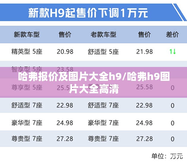 哈弗报价及图片大全h9/哈弗h9图片大全高清