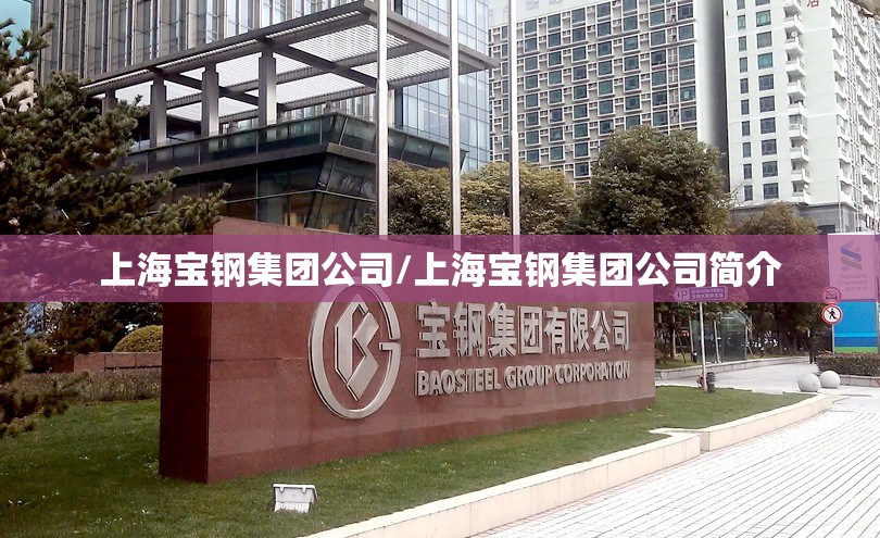 上海宝钢集团公司/上海宝钢集团公司简介