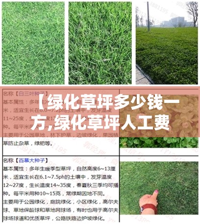 【绿化草坪多少钱一方,绿化草坪人工费2023费用表】 【绿化草坪多少钱一方,绿化草坪人工费2023费用表】