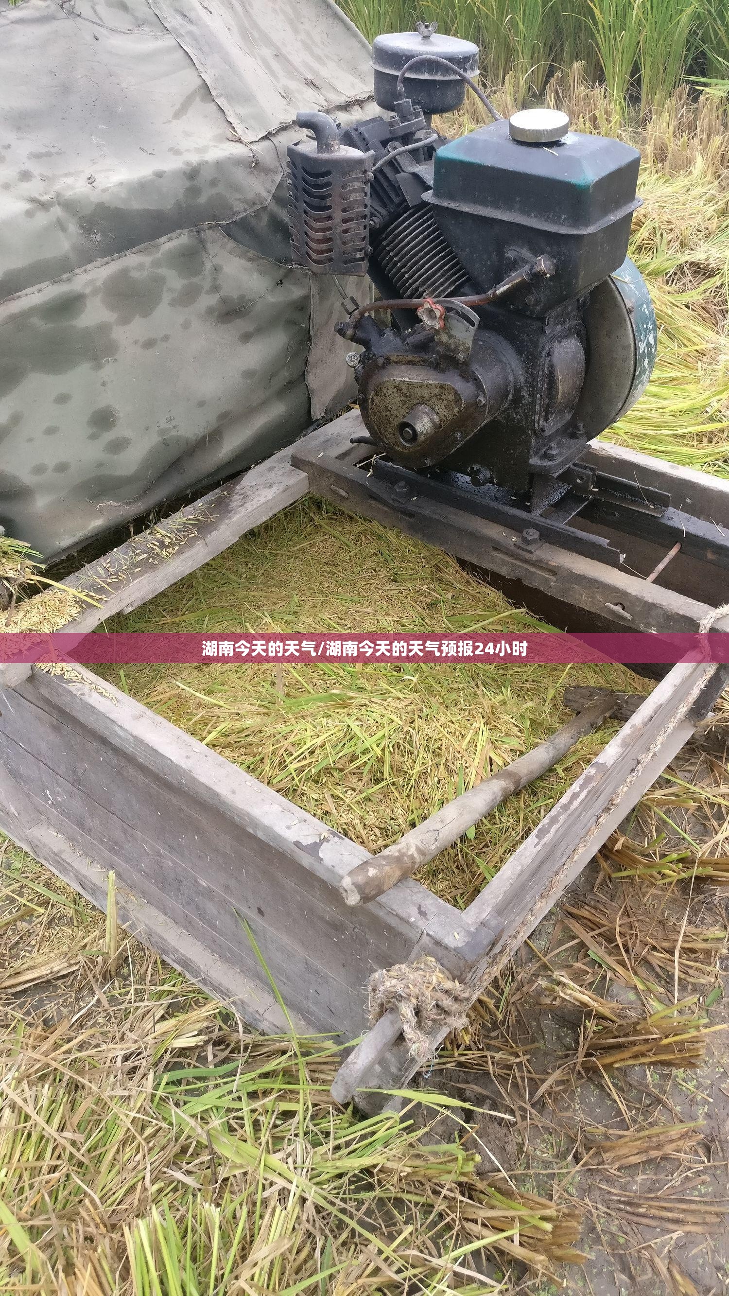 湖南今天的天气/湖南今天的天气预报24小时 湖南今天的天气/湖南今天的天气预报24小时