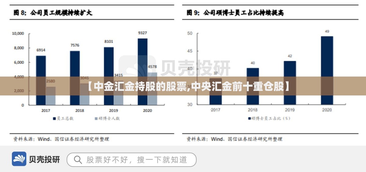【中金汇金持股的股票,中央汇金前十重仓股】
