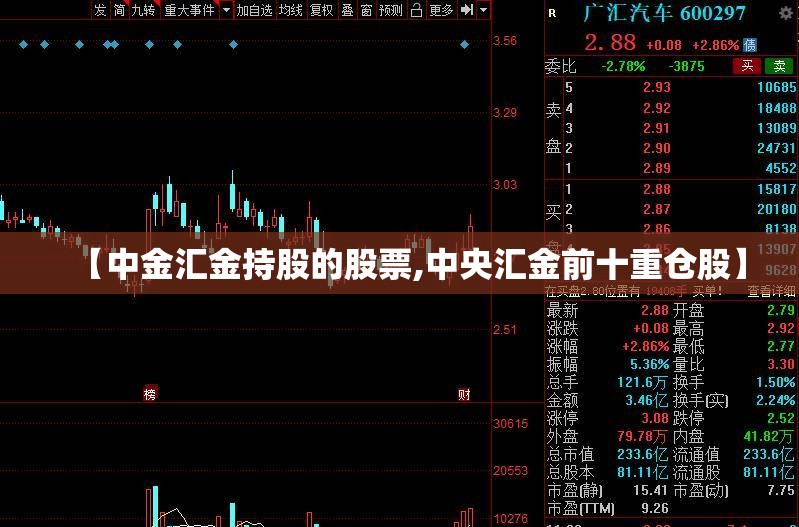 【中金汇金持股的股票,中央汇金前十重仓股】