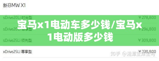 宝马x1电动车多少钱/宝马x1电动版多少钱