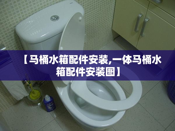 【马桶水箱配件安装,一体马桶水箱配件安装图】