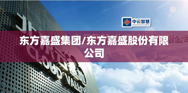 东方嘉盛集团/东方嘉盛股份有限公司 东方嘉盛集团/东方嘉盛股份有限公司
