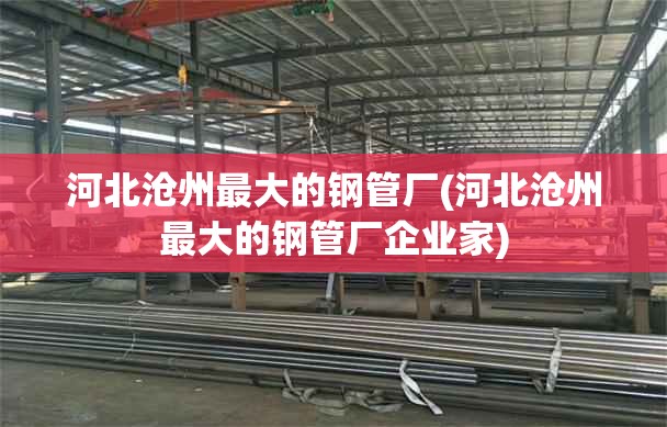 河北沧州最大的钢管厂(河北沧州最大的钢管厂企业家)