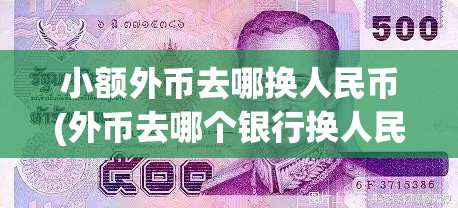 小额外币去哪换人民币(外币去哪个银行换人民币) 小额外币去哪换人民币(外币去哪个银行换人民币)