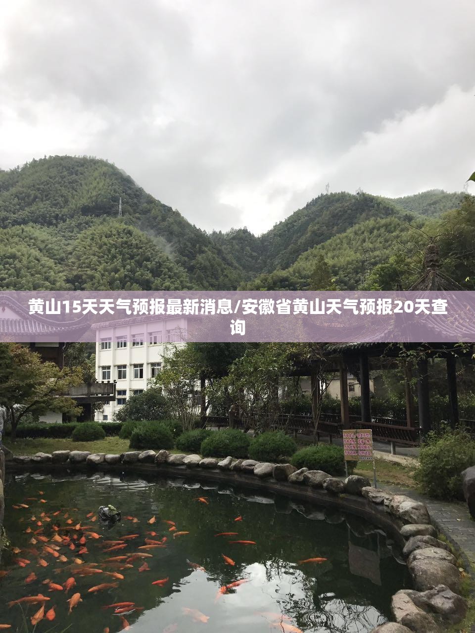 黄山15天天气预报最新消息/安徽省黄山天气预报20天查询 黄山15天天气预报最新消息/安徽省黄山天气预报20天查询