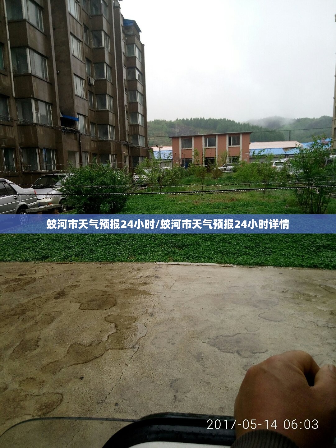 蛟河市天气预报24小时/蛟河市天气预报24小时详情 蛟河市天气预报24小时/蛟河市天气预报24小时详情