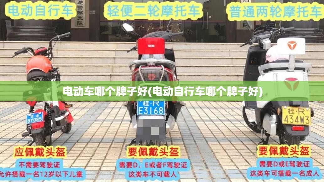 电动车哪个牌子好(电动自行车哪个牌子好) 电动车哪个牌子好(电动自行车哪个牌子好)