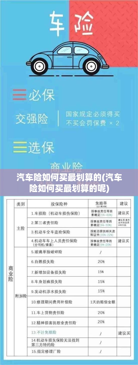 汽车险如何买最划算的(汽车险如何买最划算的呢)