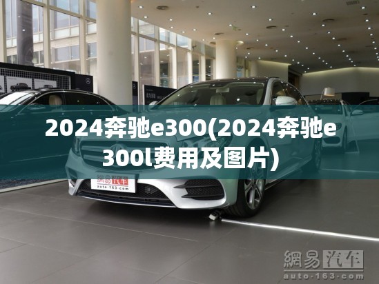 2024奔驰e300(2024奔驰e300l费用及图片)