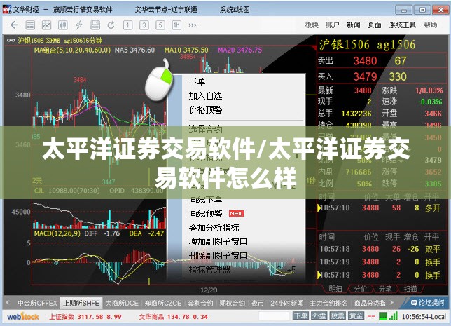 太平洋证券交易软件/太平洋证券交易软件怎么样