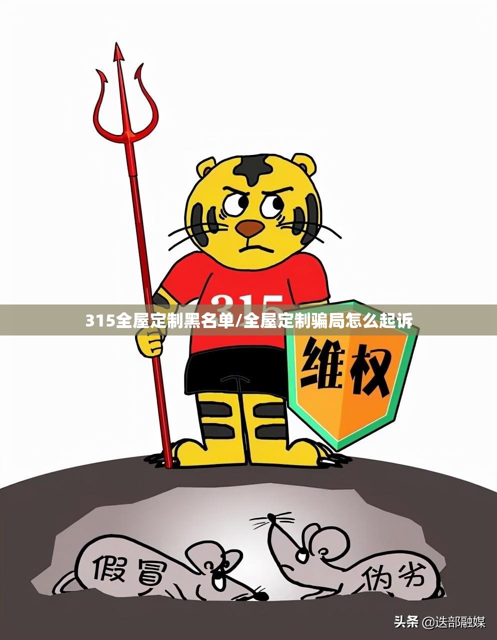 315全屋定制黑名单/全屋定制骗局怎么起诉