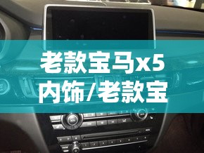 老款宝马x5内饰/老款宝马X5内饰
