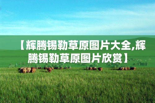 【辉腾锡勒草原图片大全,辉腾锡勒草原图片欣赏】