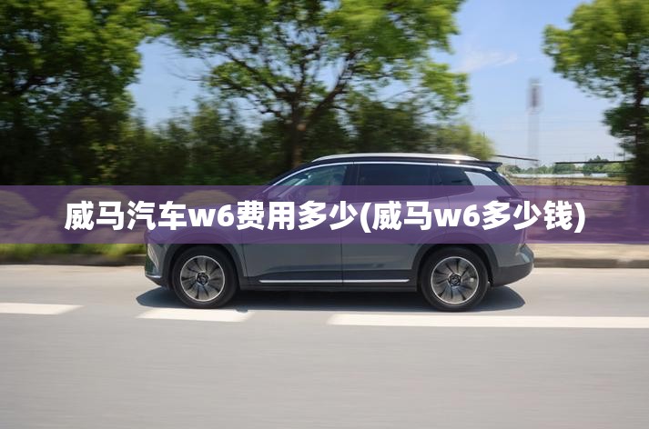 威马汽车w6费用多少(威马w6多少钱) 威马汽车w6费用多少(威马w6多少钱)