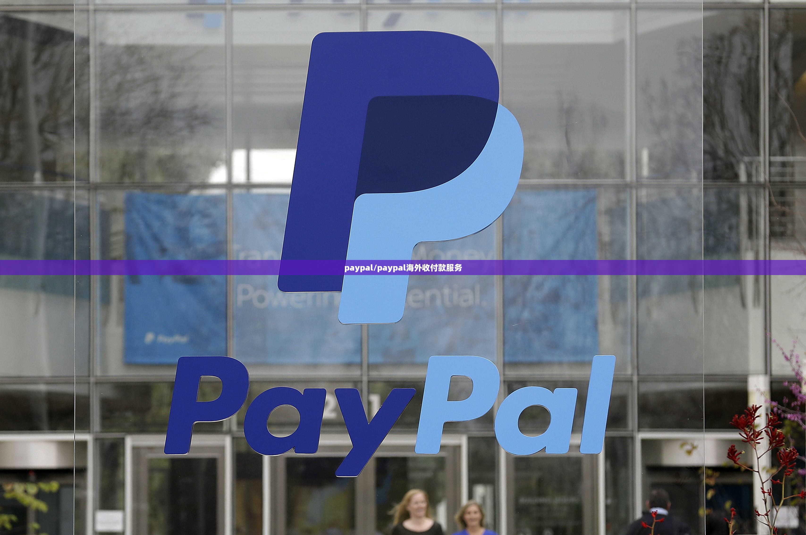 paypal/paypal海外收付款服务 paypal/paypal海外收付款服务