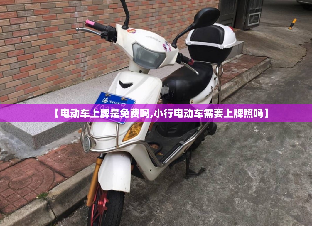 【电动车上牌是免费吗,小行电动车需要上牌照吗】 【电动车上牌是免费吗,小行电动车需要上牌照吗】