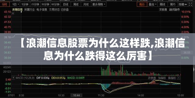 【浪潮信息股票为什么这样跌,浪潮信息为什么跌得这么厉害】