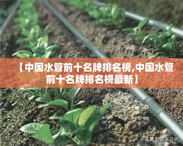 【中国水管前十名牌排名榜,中国水管前十名牌排名榜最新】