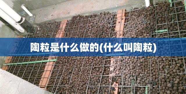 陶粒是什么做的(什么叫陶粒) 陶粒是什么做的(什么叫陶粒)