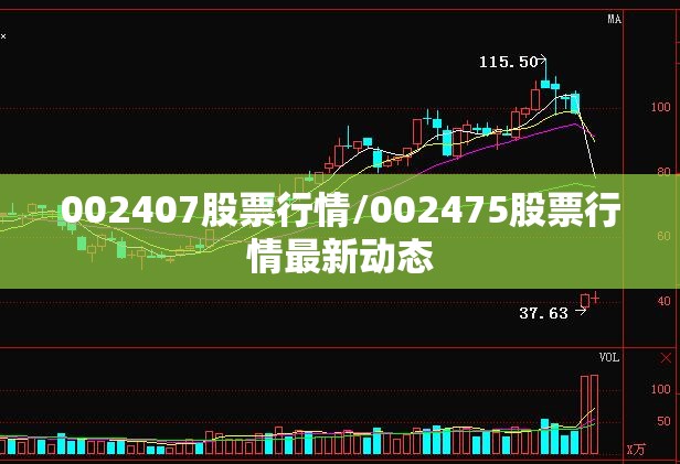 002407股票行情/002475股票行情最新动态