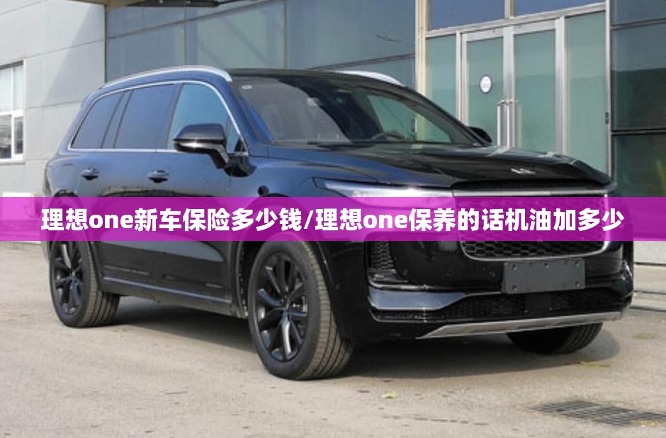 理想one新车保险多少钱/理想one保养的话机油加多少