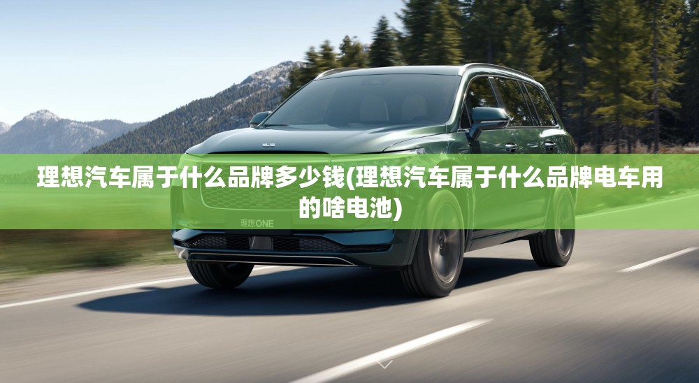 理想汽车属于什么品牌多少钱(理想汽车属于什么品牌电车用的啥电池) 理想汽车属于什么品牌多少钱(理想汽车属于什么品牌电车用的啥电池)